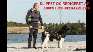 Kort version af vandtræning med hunde [upl. by Aruasi972]