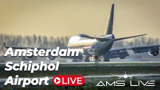 Live Arrivals at Amsterdam Schiphol Airport [upl. by Muldon837]