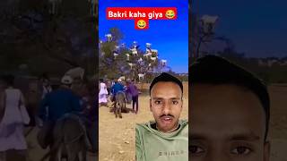 Bakri kaha giya 😂😂 realfoolscomedy funny comedy youtubeshorts [upl. by Etnoel33]