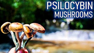 5 Ways Psilocybin Mushrooms Changed my Life [upl. by Perrie]