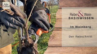 Rebe amp Wein Basiswissen  Im Weinberg Rebschnitt [upl. by Varion]