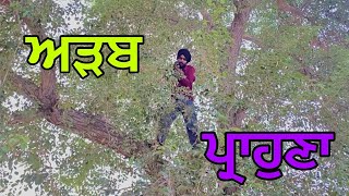 ਅੜਬ ਪ੍ਰਾਹੁਣਾ  ADAB PARAHUNA  Punjabi Short Movie  BEEBA BOYS [upl. by Lawrenson152]