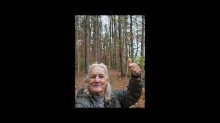 Virtual Hike 35 miles  Sugar Hollow Park Bristol VA with Retired Lady Hiker Nov 2024 [upl. by Meeka491]