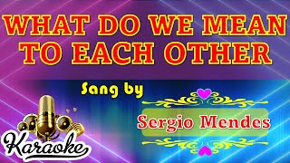 🎤 What Do We Mean To Each Other  Sergio Mendes  Karaoke [upl. by Rovert]