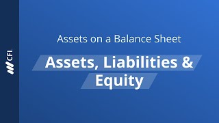 Assets on a Balance Sheet Assets Liabilities amp Equity [upl. by Amilb]