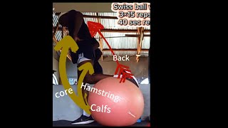 HOW SWISS BALL WORKOUT CAN GIVE YOU A GOOD SHAPE AND STAMINA [upl. by Hiller]