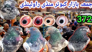 372  Juma Bazar Kabootar Mandi Rawalpindi  Latest Update High Flyer Pigeon Market Price 15112024 [upl. by Femmine179]