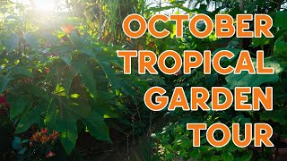 October Tropical Garden Tour [upl. by Howund]