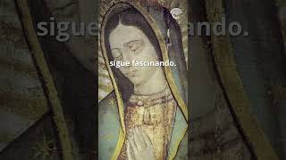 📌 12 de diciembre Historia sobre la Virgen de Guadalupe [upl. by Mccullough]