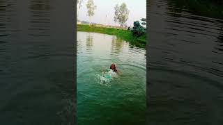 ও মাওই গো মাওই গো biyargithd বিয়েরগীত shortvideo git biyergit উত্তরাঞ্চরেরবিয়েরগীতও [upl. by Iznekcam]