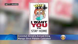 Coconut Groves Annual King Mango Strut Parade Canceled [upl. by Bierman]