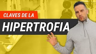 Cómo Hacer Hipertrofia Muscular  Tips Esenciales [upl. by Anerom]