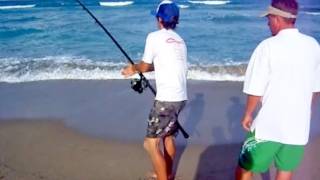 Sport Fishing for Sharks [upl. by Peedsaj550]