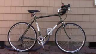 OverviewReview of my 2014 REI Novara Randonee touring bicycle  Day 20 of 30 Days of Vlogs [upl. by Aiuqcaj]