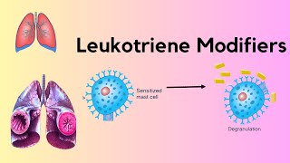 Leukotriene Receptor Antagonist [upl. by Soiritos]