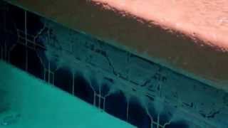 Clean Pool Tile Remove Scale And Calcium Buildup In Tucson 3 [upl. by Enehs]