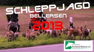 Schleppjagd 2013 in Bellersen [upl. by Hoopes]