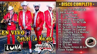 Contenibles De Sinaloa  En Vivo Rancho La Macana 2018 DISCO COMPLETO [upl. by Bullis]