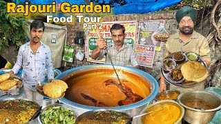 Top 5 Famous street food in Rajouri garden  Chole bathure  rajma chawal  luchi  Tandoori rice [upl. by Amity751]