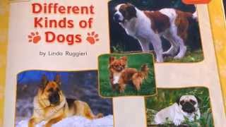 Kindergarten Read aloud Different Kinds of Dogs By Linda Ruggieri [upl. by Desdamonna]