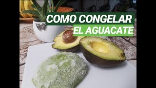 Cómo congelar el aguacate en casa [upl. by Nnylacissej]