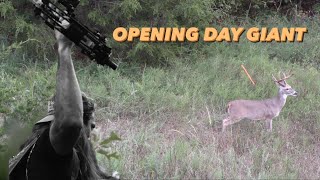 BOWHUNTING EARLY SEASON BUCKS OKLAHOMA deer season 23 ep 2 [upl. by Orlina]