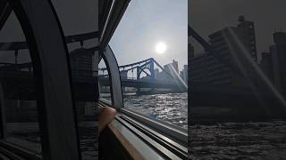 Sumida River Cruise 🛳 explorepage youtubeshorts sumidarivercruise tokyo japan [upl. by Netsriik]