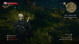 The Witcher 3sang et bois [upl. by Linea]