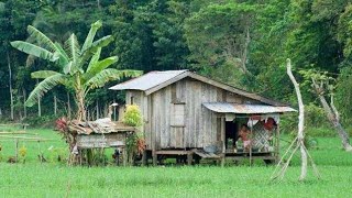 BUHAY BUKIDSA WAKAS TAPOS NA ANG KUBOKAINAN SA BUKIDrural lifefarruko [upl. by Leopoldeen914]