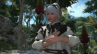 Final Fantasy XIV 70 Playthrough Part 628 Downed By The River [upl. by Cindee]