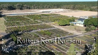 Rutters Road Nursery Promo [upl. by Ellehsat]