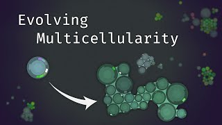 Simulating an Evolving Microcosmos  The Path to Multicellularity [upl. by Derick]