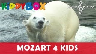 Mozart Bach Chopin  Klassik für Kinder  Ein kleiner Eisbär KIDDYBOXTV [upl. by Valeria]