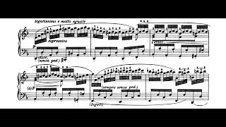 Beethoven  Sonata 15 Op 28 Andante  Robert Taub Piano [upl. by Sig]