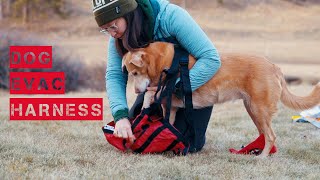 Dog Evacuation Harness Review Fido Pro vs Ruffwear [upl. by Marian]