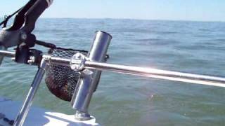 Lake Erie walleye fishing charter trips Monroe MI [upl. by Renwick]