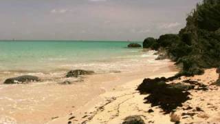 Small Beach In Bermuda West Whale Bay HD Video [upl. by Rozalie]