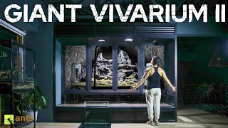 I Built My Next Giant Vivarium II and Its Ready For Life [upl. by Rori]