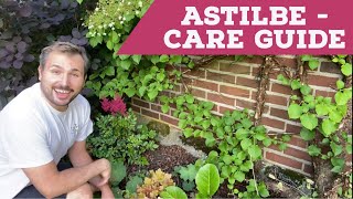 Astilbe Care Guide  7 Easy Steps [upl. by Trauts328]