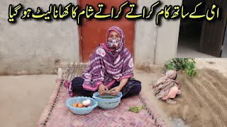 Ammi ke sath kam karate karate sham ka khana let Ho Gaya  Village life stylevillage family Vlogs [upl. by Millburn655]