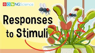 Stimulus Response Theory  Edward Thorndike Definition  Examples [upl. by Eyanaj]