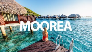 ULTIMATE MOOREA FRENCH POLYNESIA TRAVEL GUIDE WHALES OVERWATER BUNGALOWS amp TOP THINGS TO DO [upl. by Atiuqnahs]