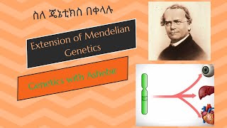 Extension of Mendelian Genetics Amharic ለመውጫ ፈተና ለመዘጋጀት ለእጽዋት ሳይንስ እና ተዛማጅ መስኮች ምርጥ አጋዥ ቪዲዮ [upl. by Natasha]