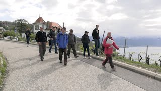 Visites guidées publiques en Lavaux [upl. by Ecyak]