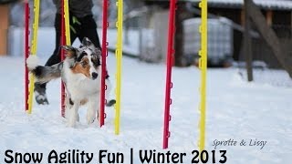 Snow Agility Fun  Sprotte amp Lissy [upl. by Mahala]