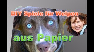 Welpen DIY Beschäftigung aus Papier [upl. by Aerdnad]