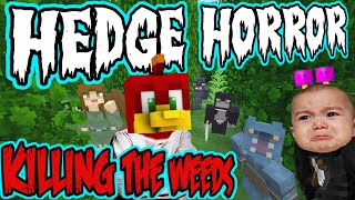 HEDGE HORROR  Minecraft Xbox Murder Mystery  KILLING THE WEEDS [upl. by Atinreb]