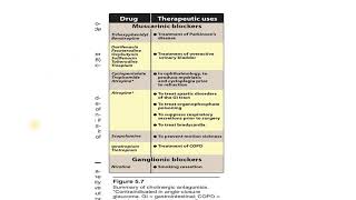 cholinergic antagonistscopolamine [upl. by Dobrinsky]