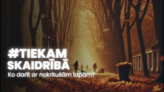 TiekamSkaidrībā Ko darīt ar nokritušām lapām [upl. by Whitaker182]