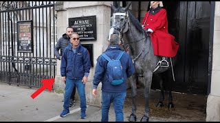 Is He Lost Watch as He Suddenly Walks Up to the Horse and Stands There [upl. by Steady213]